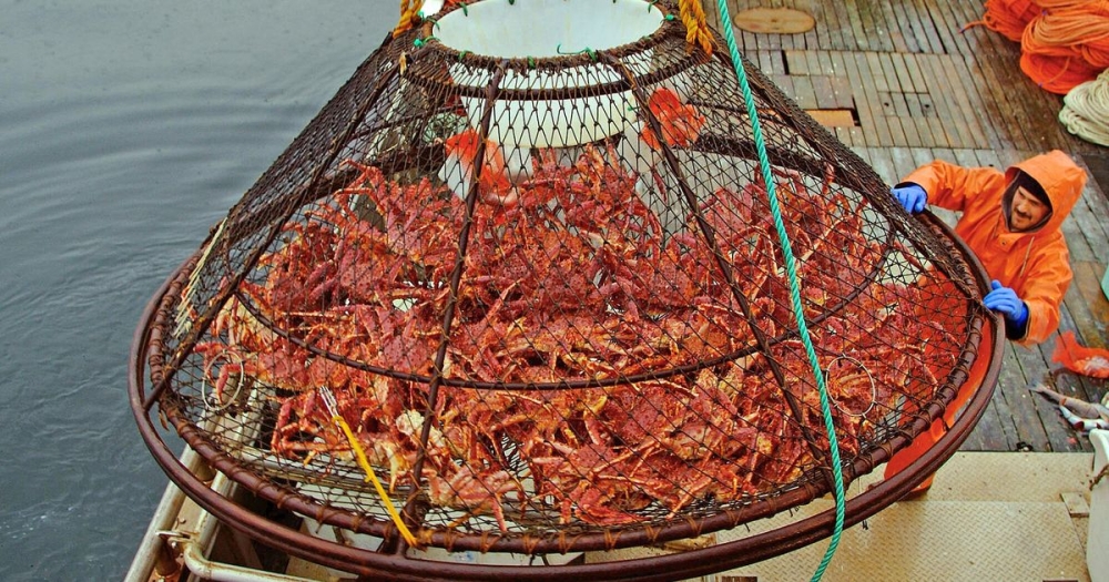 &Epsilon;&xi;&alpha;&phi;ά&nu;&iota;&sigma;&eta; &delta;&iota;&sigma;&epsilon;&kappa;&alpha;&tau;&omicron;&mu;&mu;&upsilon;&rho;ί&omega;&nu; &kappa;&alpha;&beta;&omicron;&upsilon;&rho;&iota;ώ&nu; &alpha;&pi;ό &tau;&eta;&nu; &Alpha;&lambda;ά&sigma;&kappa;&alpha;