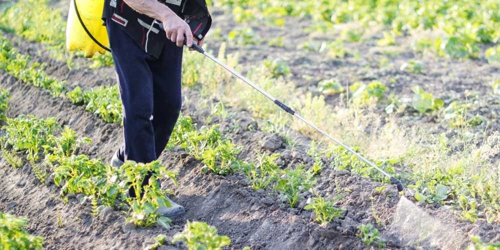 &Tau;&omicron; &pi;&alpha;&rho;ά&nu;&omicron;&mu;&omicron; &epsilon;&mu;&pi;ό&rho;&iota;&omicron; &phi;&upsilon;&tau;&omicron;&phi;&alpha;&rho;&mu;ά&kappa;&omega;&nu; &sigma;&tau;&eta;&nu; &Epsilon;&upsilon;&rho;ώ&pi;&eta; &kappa;&alpha;&iota; &tau;&eta;&nu; &Epsilon;&lambda;&lambda;ά&delta;&alpha; &alpha;&upsilon;&xi;ά&nu;&epsilon;&tau;&alpha;&iota;