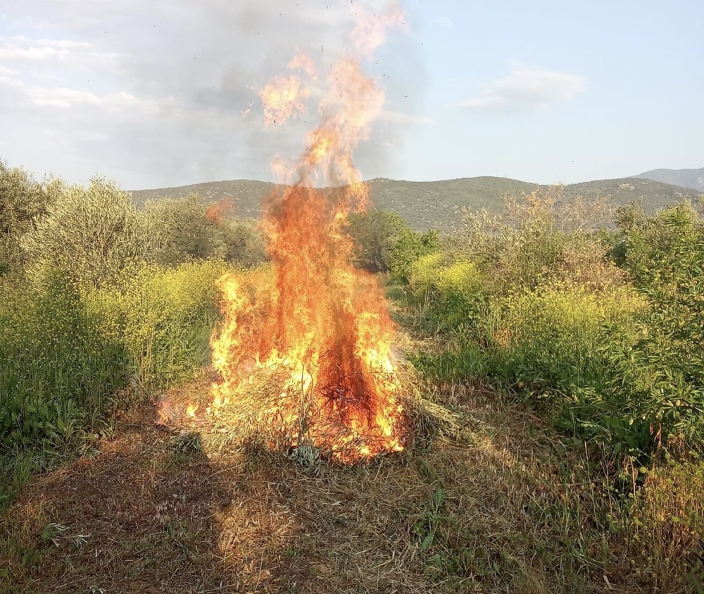 &Alpha;&nu;&tau;&iota;&pi;&upsilon;&rho;&iota;&kappa;ή &pi;&epsilon;&rho;ί&omicron;&delta;&omicron;&sigmaf; 2026: &Pi;&rho;&omicron;&sigma;&omicron;&chi;ή &sigma;&tau;&iota;&sigmaf; &kappa;&alpha;ύ&sigma;&epsilon;&iota;&sigmaf; &kappa;&lambda;&alpha;&delta;&epsilon;&mu;ά&tau;&omega;&nu;