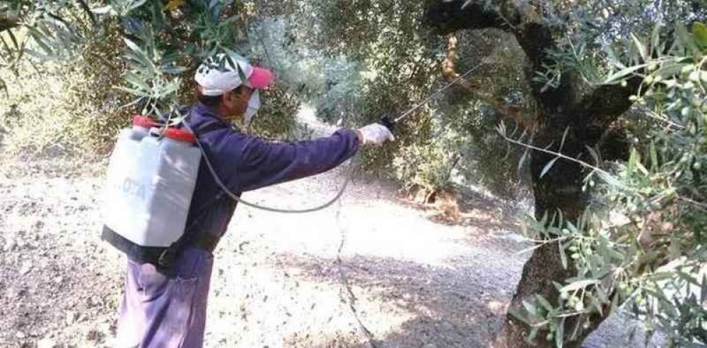 Έ&nu;&alpha;&rho;&xi;&eta; &psi;&epsilon;&kappa;&alpha;&sigma;&mu;ώ&nu; &delta;&alpha;&kappa;&omicron;&kappa;&tau;&omicron;&nu;ί&alpha;&sigmaf; &sigma;&tau;&iota;&sigmaf; &Kappa;&rho;&omicron;&kappa;&epsilon;έ&sigmaf;