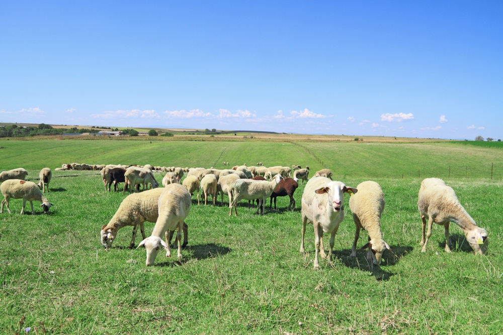 &Tau;&omicron;&xi;&iota;&kappa;ά &phi;&upsilon;&tau;ά &sigma;&tau;&omicron;&upsilon;&sigmaf; &beta;&omicron;&sigma;&kappa;ό&tau;&omicron;&pi;&omicron;&upsilon;&sigmaf;: &Pi;ώ&sigmaf; &tau;&alpha; &zeta;ώ&alpha; &mu;&alpha;&theta;&alpha;ί&nu;&omicron;&upsilon;&nu; &nu;&alpha; &tau;&alpha; &alpha;&pi;&omicron;&phi;&epsilon;ύ&gamma;&omicron;&upsilon;&nu;