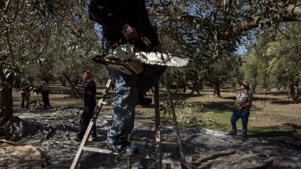 Ό&sigma;&omicron;&iota; έ&chi;&omicron;&upsilon;&nu; &epsilon;&lambda;&iota;έ&sigmaf; &kappa;&iota;&nu;&delta;&upsilon;&nu;&epsilon;ύ&omicron;&upsilon;&nu; &mu;&epsilon; &pi;&rho;ό&sigma;&tau;&iota;&mu;&alpha; έ&omega;&sigmaf; 5.000 &epsilon;&upsilon;&rho;ώ
