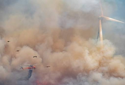 Δάσος της Δαδιάς: Στις φλόγες περιοχές που ζουν απειλούμενα με εξαφάνιση είδη