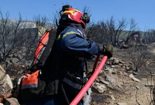 «Κίτρινη» προειδοποίηση για πυρκαγιά σε όλους τους δήμους της Λακωνίας