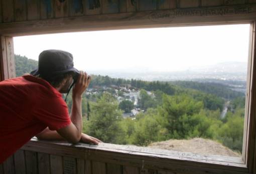 Άνοιξαν οι αιτήσεις για 142 θέσεις στα δασαρχεία της Λακωνίας