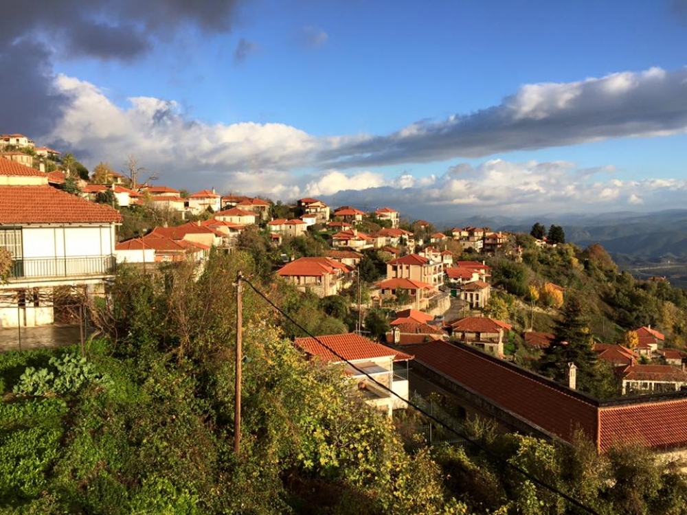 &Epsilon;&rho;&omega;&tau;ή&mu;&alpha;&tau;&alpha; &gamma;&iota;&alpha; &tau;&omicron; &delta;&eta;&mu;&omicron;&tau;&iota;&kappa;ό &pi;ά&rho;&kappa;&iota;&nu;&gamma;&kappa; &Gamma;&epsilon;&omega;&rho;&gamma;&iota;&tau;&sigma;ί&omicron;&upsilon;