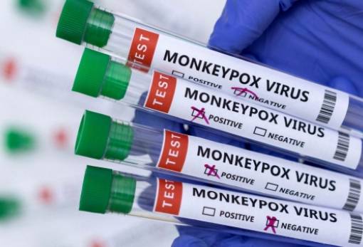 Έκτακτη σύσκεψη ΠΟΥ για ευλογιά των πιθήκων -Εξετάζεται η κήρυξη «κατάστασης έκτακτης ανάγκης»