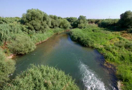 Δράσεις για την προστασία της βιοποικιλότητας στη Λακωνία