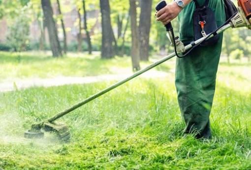 Τι αλλάζει στους καθαρισμούς των οικοπέδων