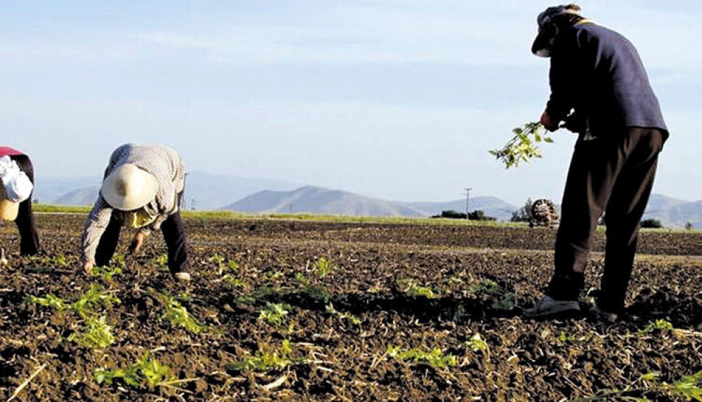 &Epsilon;&nu;&eta;&mu;έ&rho;&omega;&sigma;&eta; &gamma;&iota;&alpha; &tau;&eta; &nu;έ&alpha; &Kappa;&Alpha;&Pi; &sigma;&epsilon; &eta;&mu;&epsilon;&rho;ί&delta;&alpha; &sigma;&tau;&omicron; &Gamma;&epsilon;&rho;ά&kappa;&iota;