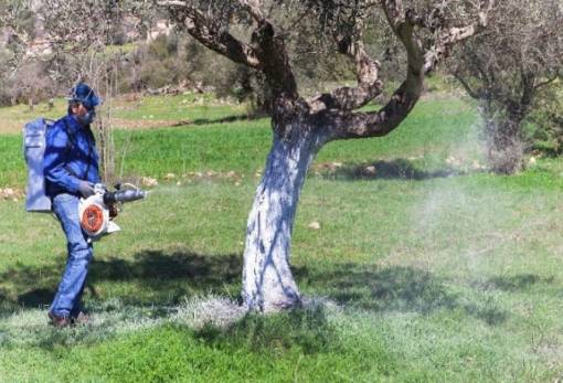 Επιπλέον 1,5 εκ. ευρώ για τη δακοκτονία σε Πελοπόννησο και Κρήτη