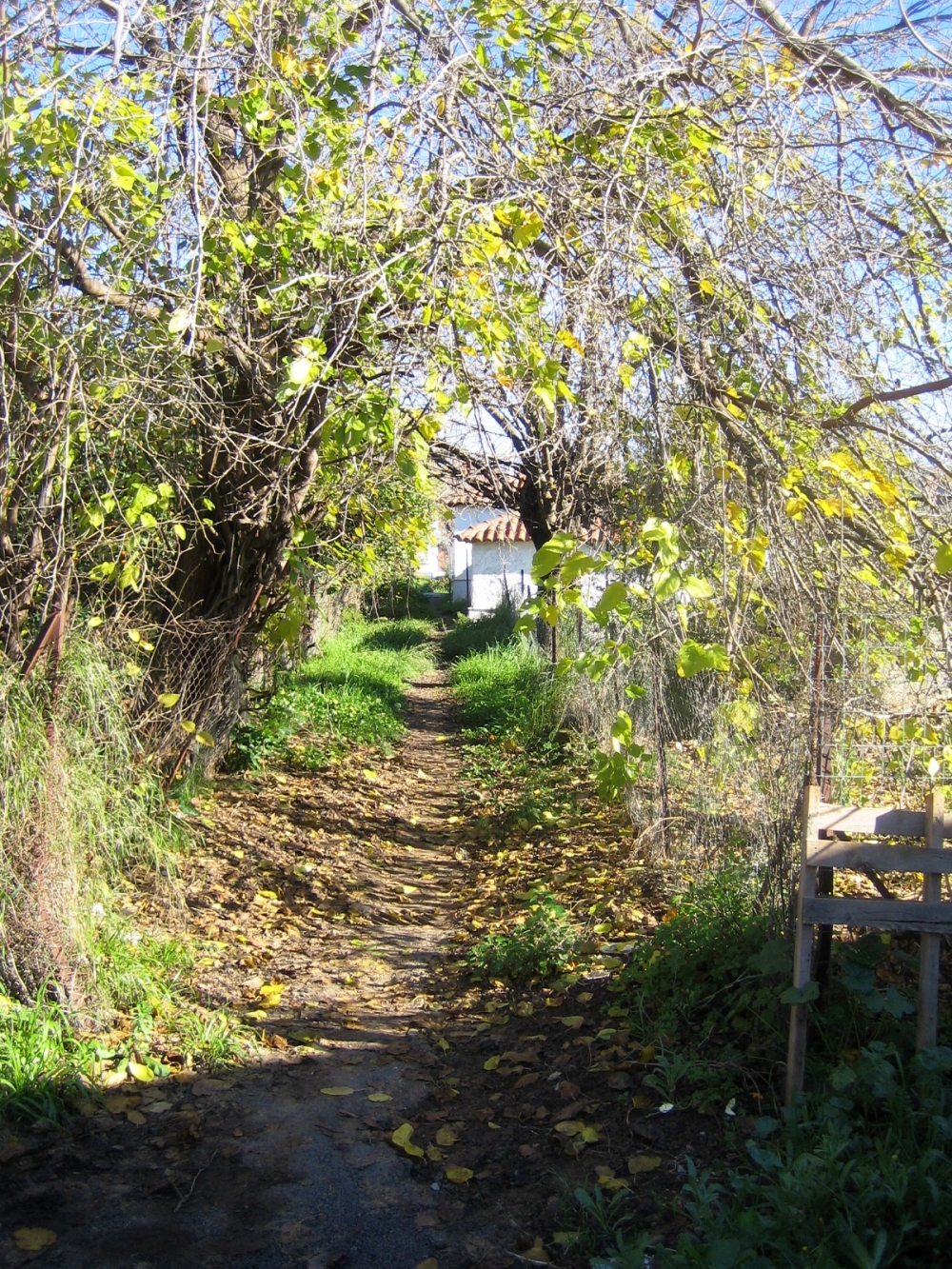 T&omicron; &Sigma;&tau;&epsilon;&nu;ό