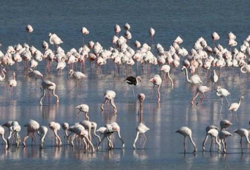 Χωρίς «αναπνοή» οι λίμνες, λιγοστεύει το πόσιμο νερό