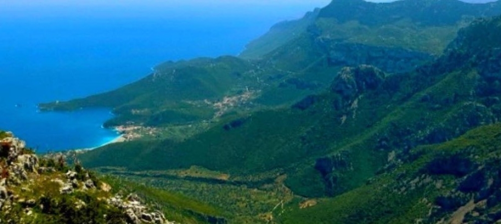 &Alpha;&nu;&tau;&iota;&sigma;&tau;έ&kappa;&omicron;&nu;&tau;&alpha;&iota; &sigma;&tau;&eta;&nu; &epsilon;&gamma;&kappa;&alpha;&tau;ά&sigma;&tau;&alpha;&sigma;&eta; &alpha;&nu;&epsilon;&mu;&omicron;&gamma;&epsilon;&nu;&nu;&eta;&tau;&rho;&iota;ώ&nu; &sigma;&tau;&omicron; &Kappa;&upsilon;&pi;&alpha;&rho;ί&sigma;&sigma;&iota;