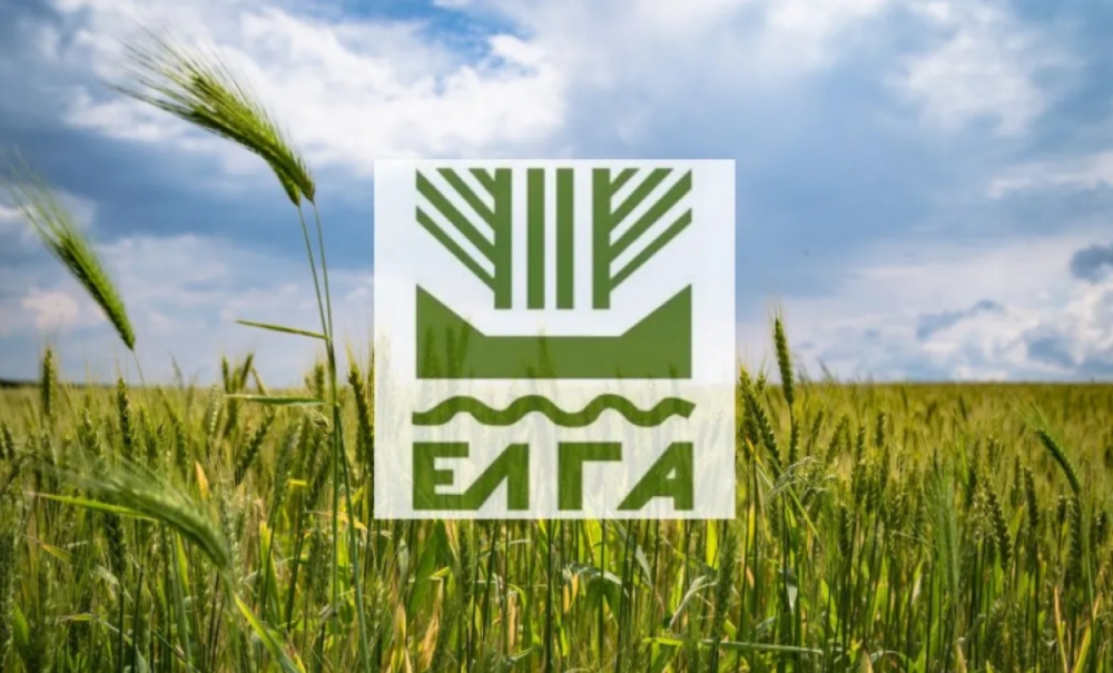 &Pi;&alpha;&rho;ά&tau;&alpha;&sigma;&eta; &tau;&eta;&sigmaf; &pi;&rho;&omicron;&theta;&epsilon;&sigma;&mu;ί&alpha;&sigmaf; &kappa;&alpha;&tau;&alpha;&beta;&omicron;&lambda;ή&sigmaf; &tau;&eta;&sigmaf; &Epsilon;&iota;&delta;&iota;&kappa;ή&sigmaf; &Alpha;&sigma;&phi;&alpha;&lambda;&iota;&sigma;&tau;&iota;&kappa;ή&sigmaf; &Epsilon;&iota;&sigma;&phi;&omicron;&rho;ά&sigmaf;