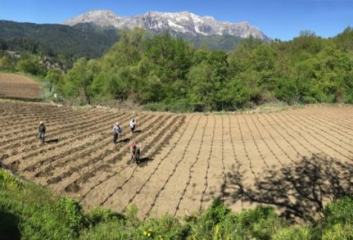 Χάθηκε το 31% των αγροκτημάτων στην Ελλάδα