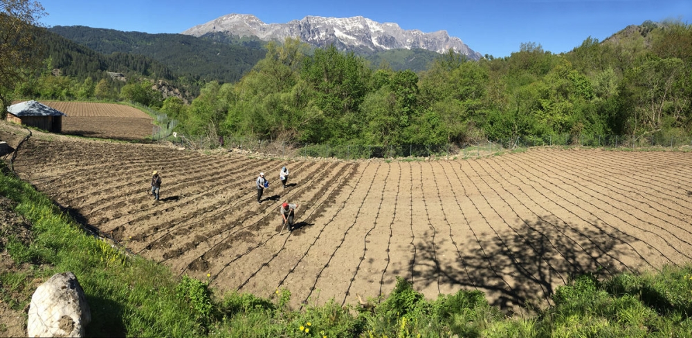 &Chi;ά&theta;&eta;&kappa;&epsilon; &tau;&omicron; 31% &tau;&omega;&nu; &alpha;&gamma;&rho;&omicron;&kappa;&tau;&eta;&mu;ά&tau;&omega;&nu; &sigma;&tau;&eta;&nu; &Epsilon;&lambda;&lambda;ά&delta;&alpha;
