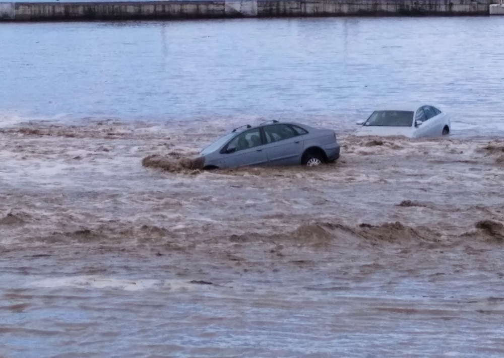 &Delta;&omicron;&kappa;&iota;&mu;ά&sigma;&tau;&eta;&kappa;&epsilon; &alpha;&pi;ό &tau;&eta;&nu; &kappa;&alpha;&kappa;&omicron;&kappa;&alpha;&iota;&rho;ί&alpha; &eta; &pi;&epsilon;&rho;&iota;&omicron;&chi;ή &tau;&omega;&nu; &Beta;&omicron;&iota;ώ&nu; (&Phi;&Omega;&Tau;&Omicron;)
