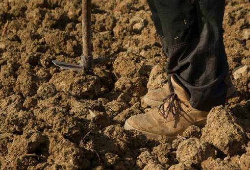 Ομοσπονδία Αγροτικών Συλλόγων Πελοποννήσου: «Δεν μπορεί να υπάρχει εθνική αγροτική πολιτική εντός ΕΕ»