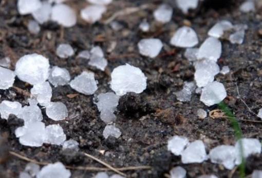 Αναγγελία ζημιάς από χαλάζι σε Σκάλα και Λεήμονα