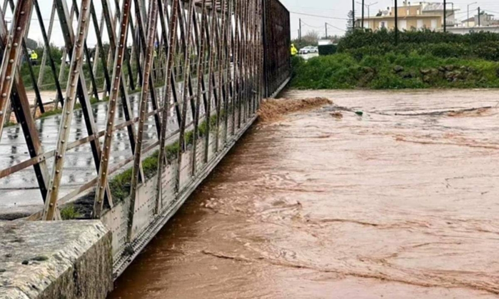 &laquo;&Pi;&rho;ά&sigma;&iota;&nu;&omicron;&raquo; &gamma;&iota;&alpha; &alpha;&nu;&tau;&iota;&pi;&lambda;&eta;&mu;&mu;&upsilon;&rho;&iota;&kappa;ά &sigma;&epsilon; &Epsilon;&upsilon;&rho;ώ&tau;&alpha;, &Beta;&iota;&omicron;&lambda;&omicron;&gamma;&iota;&kappa;ό &Epsilon;&lambda;&alpha;&phi;&omicron;&nu;ή&sigma;&omicron;&upsilon; &kappa;&alpha;&iota; &eta;&lambda;&epsilon;&kappa;&tau;&rho;&omicron;&phi;&omega;&tau;&iota;&sigma;&mu;ό