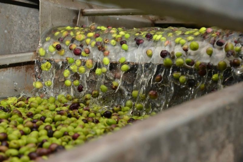 &Epsilon;&sigma;ύ &pi;ώ&sigmaf; &pi;&lambda;&eta;&rho;ώ&nu;&epsilon;&iota;&sigmaf; &tau;&omicron; &epsilon;&lambda;&alpha;&iota;&omicron;&tau;&rho;&iota;&beta;&epsilon;ί&omicron;; &Sigma;&epsilon; &epsilon;ί&delta;&omicron;&sigmaf; ή &mu;&epsilon;&tau;&rho;&eta;&tau;ά;