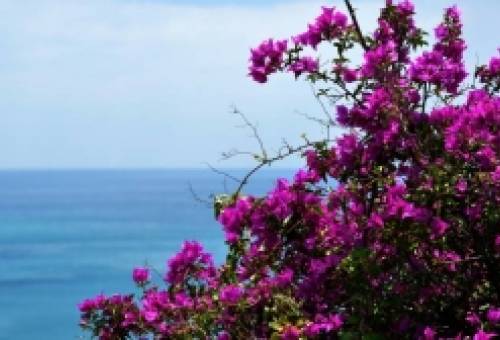 Ανοιξιάτικες απορίες