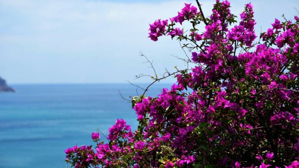 &Alpha;&nu;&omicron;&iota;&xi;&iota;ά&tau;&iota;&kappa;&epsilon;&sigmaf; &alpha;&pi;&omicron;&rho;ί&epsilon;&sigmaf;