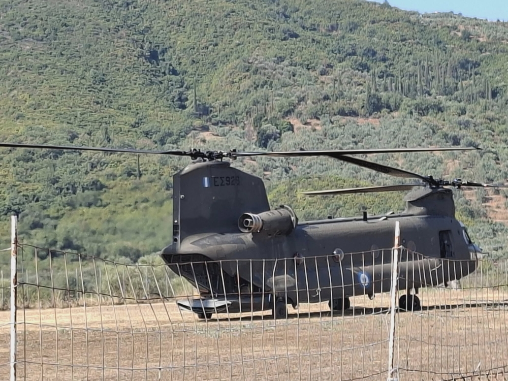 &Tau;&iota; έ&kappa;&alpha;&nu;&epsilon; έ&nu;&alpha; Chinook &sigma;&tau;&eta; &Phi;ά&rho;&iota;&delta;&alpha;;