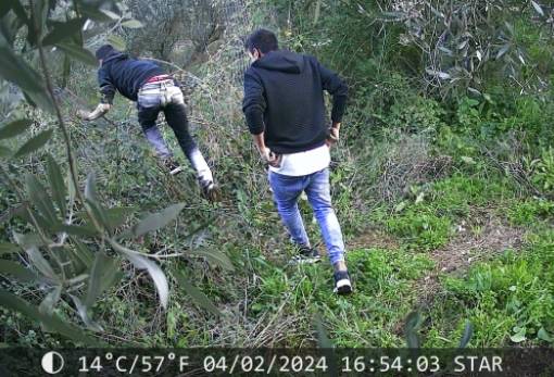 Αγωγή στον Ρομά που πήγε να τον κλέψει κάνει ο Σταύρος Αργυρόπουλος