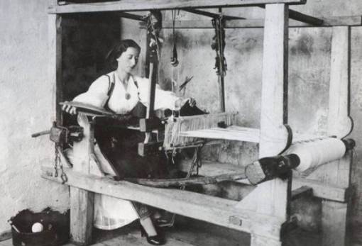 Η Μαρία κι ο Μώρος του λόγγου