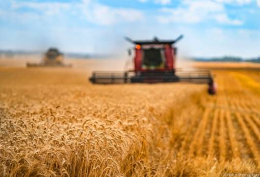 ΕΕ: Σε ισχύ η εξαίρεση από τους κανόνες της αγρανάπαυσης