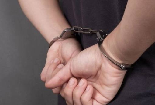 Πήγαν να «μπουκάρουν» σε σπίτι στις Αμύκλες αλλά λογάριαζαν χωρίς τον πιστό φύλακα