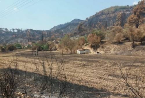 Δράση ενίσχυσης πυρόπληκτων αγροτών στον Δήμο Αν. Μάνης