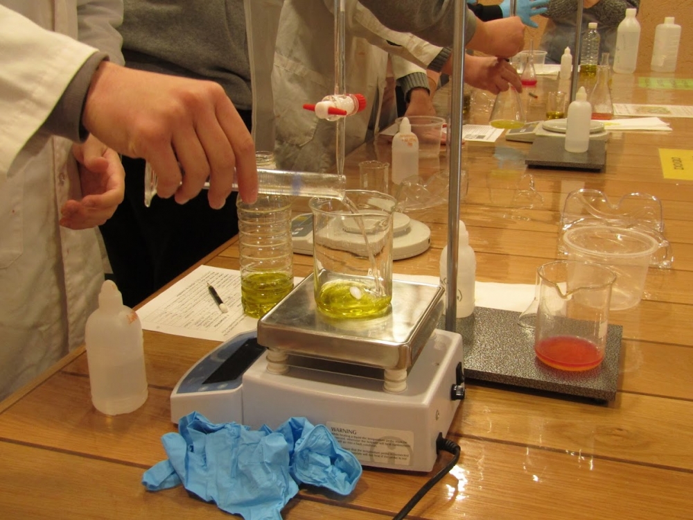 &Lambda;ά&delta;&iota; &kappa;&alpha;&iota; &sigma;&alpha;&pi;&omicron;ύ&nu;&iota; &laquo;&sigma;&mu;ί&gamma;&omicron;&upsilon;&nu;&raquo; &sigma;&epsilon; &mu;&iota;&alpha; &delta;&iota;&delta;&alpha;&kappa;&tau;&iota;&kappa;ή &epsilon;&mu;&pi;&epsilon;&iota;&rho;ί&alpha; &sigma;&tau;&eta; &Lambda;&alpha;&kappa;&omega;&nu;ί&alpha;