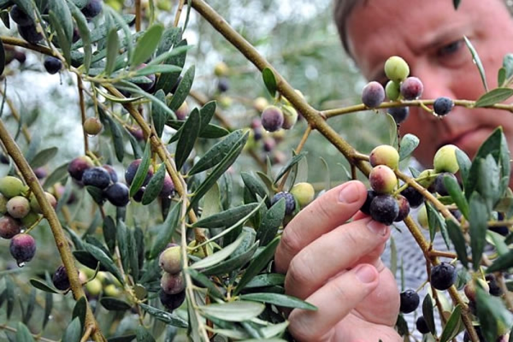 &Delta;&alpha;&kappa;&omicron;&kappa;&tau;&omicron;&nu;ί&alpha; 2026&ndash;2028: &Sigma;&epsilon; &tau;&rho;&omicron;&chi;&iota;ά &delta;&iota;&alpha;&gamma;&omega;&nu;&iota;&sigma;&mu;ό&sigmaf; 42,99 &epsilon;&kappa;&alpha;&tau;. &epsilon;&upsilon;&rho;ώ &gamma;&iota;&alpha; &tau;&eta;&nu; &pi;&rho;&omicron;&mu;ή&theta;&epsilon;&iota;&alpha; &upsilon;&lambda;&iota;&kappa;ώ&nu;