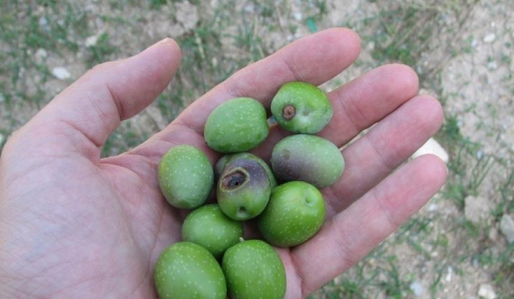 &Pi;&rho;&omicron;&sigma;&tau;&alpha;&sigma;ί&alpha; &alpha;&pi;ό &tau;&omicron;&nu; &Delta;ά&kappa;&omicron; - Ό&sigma;&alpha; &pi;&rho;έ&pi;&epsilon;&iota; &nu;&alpha; &gamma;&nu;&omega;&rho;ί&zeta;&epsilon;&tau;&epsilon; &gamma;&iota;&alpha; &tau;&omicron;&nu; &sigma;&eta;&mu;&alpha;&nu;&tau;&iota;&kappa;ό&tau;&epsilon;&rho;&omicron; &epsilon;&chi;&theta;&rho;ό &tau;&eta;&sigmaf; &epsilon;&lambda;&iota;ά&sigmaf;