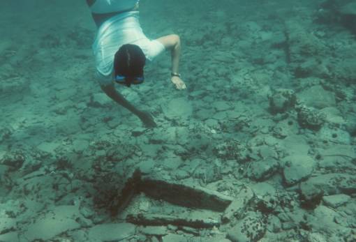 «Γεννήθηκε» το Κινηματογραφικό Φεστιβάλ Θαλάσσιας Οικολογίας σε Νεάπολη κι Ελαφόνησο (ΦΩΤΟ)