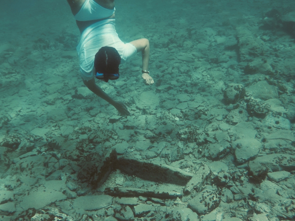 &laquo;&Gamma;&epsilon;&nu;&nu;ή&theta;&eta;&kappa;&epsilon;&raquo; &tau;&omicron; &Kappa;&iota;&nu;&eta;&mu;&alpha;&tau;&omicron;&gamma;&rho;&alpha;&phi;&iota;&kappa;ό &Phi;&epsilon;&sigma;&tau;&iota;&beta;ά&lambda; &Theta;&alpha;&lambda;ά&sigma;&sigma;&iota;&alpha;&sigmaf; &Omicron;&iota;&kappa;&omicron;&lambda;&omicron;&gamma;ί&alpha;&sigmaf; &sigma;&epsilon; &Nu;&epsilon;ά&pi;&omicron;&lambda;&eta; &kappa;&iota; &Epsilon;&lambda;&alpha;&phi;ό&nu;&eta;&sigma;&omicron; (&Phi;&Omega;&Tau;&Omicron;)