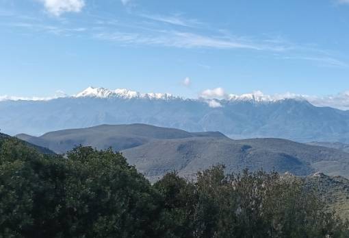 Σε Βασσαρά – Βέρoια ανεβαίνει ο ΕΟΣ Σπάρτης