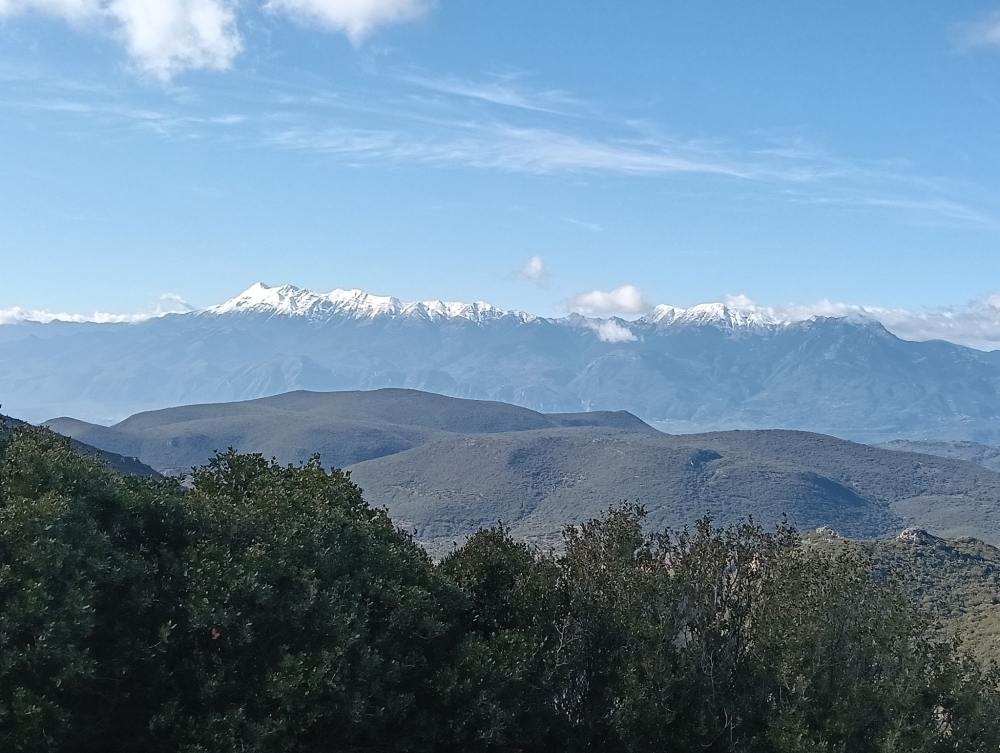 &Sigma;&epsilon; &Beta;&alpha;&sigma;&sigma;&alpha;&rho;ά &ndash; &Beta;έ&rho;o&iota;&alpha; &alpha;&nu;&epsilon;&beta;&alpha;ί&nu;&epsilon;&iota; &omicron; &Epsilon;&Omicron;&Sigma; &Sigma;&pi;ά&rho;&tau;&eta;&sigmaf;