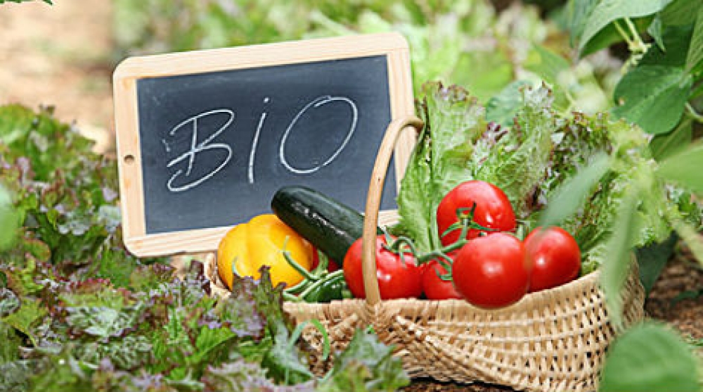 &Alpha;&lambda;&lambda;&alpha;&gamma;έ&sigmaf; &gamma;&iota;&alpha; &tau;&omicron;&upsilon;&sigmaf; &nu;&epsilon;&omicron;&epsilon;&iota;&sigma;&epsilon;&rho;&chi;ό&mu;&epsilon;&nu;&omicron;&upsilon;&sigmaf; &sigma;&tau;&alpha; &Beta;&iota;&omicron;&lambda;&omicron;&gamma;&iota;&kappa;ά