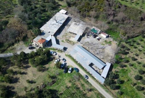 Καταφύγιο ζώων Σπάρτης: Ένας χώρος προσωρινής φιλοξενίας με στόχο τις υιοθεσίες