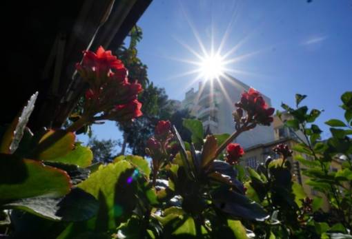 «Ο πιο ζεστός Φεβρουάριος στην ιστορία ο φετινός» λένε οι επιστήμονες