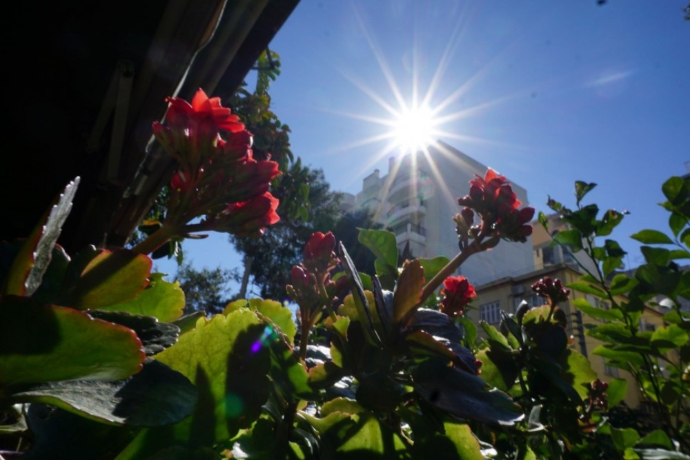 &laquo;&Omicron; &pi;&iota;&omicron; &zeta;&epsilon;&sigma;&tau;ό&sigmaf; &Phi;&epsilon;&beta;&rho;&omicron;&upsilon;ά&rho;&iota;&omicron;&sigmaf; &sigma;&tau;&eta;&nu; &iota;&sigma;&tau;&omicron;&rho;ί&alpha; &omicron; &phi;&epsilon;&tau;&iota;&nu;ό&sigmaf;&raquo; &lambda;έ&nu;&epsilon; &omicron;&iota; &epsilon;&pi;&iota;&sigma;&tau;ή&mu;&omicron;&nu;&epsilon;&sigmaf;