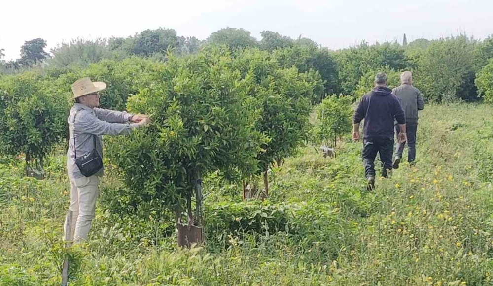 &Zeta;&eta;&mu;&iota;έ&sigmaf; &alpha;&pi;ό &tau;&eta;&nu; &pi;&rho;ό&sigma;&phi;&alpha;&tau;&eta; &kappa;&alpha;&kappa;&omicron;&kappa;&alpha;&iota;&rho;ί&alpha; &sigma;&epsilon; &pi;&epsilon;&rho;&iota;&omicron;&chi;έ&sigmaf; &tau;&omicron;&upsilon; &Delta;. &Sigma;&pi;ά&rho;&tau;&eta;&sigmaf;