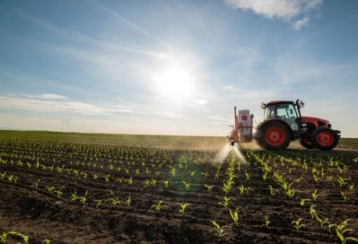 Αγροτικοί Συνεταιρισμοί: Λήγει στις 30 Ιουνίου η προθεσμία προσαρμογής των καταστατικών