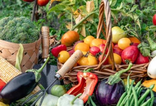 ΕΕ: Νέα αύξηση για το εμπόριο  γεωργικών προϊόντων διατροφής