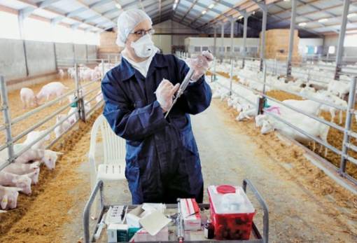 Δυο θέσεις εργασίας στην ΠΕ Λακωνίας