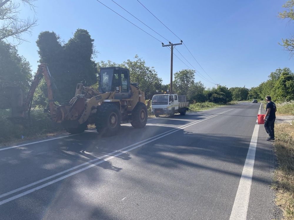 &Epsilon;&rho;&gamma;&alpha;&sigma;ί&epsilon;&sigmaf; &kappa;&alpha;&theta;&alpha;&rho;&iota;&sigma;&mu;&omicron;ύ &kappa;&alpha;&iota; &kappa;&omicron;&pi;ή&sigmaf; &beta;&lambda;ά&sigma;&tau;&eta;&sigma;&eta;&sigmaf; &sigma;&tau;&eta;&nu; &Epsilon;&Omicron; &Tau;&rho;ί&pi;&omicron;&lambda;&eta;&sigmaf; &ndash; &Sigma;&pi;ά&rho;&tau;&eta;&sigmaf;